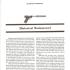 The Silencer Cookbook; .22 Rimfire Silencers