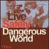 How to Live Safely in a Dangerous World