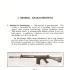 Fn-Fal Auto Rifles