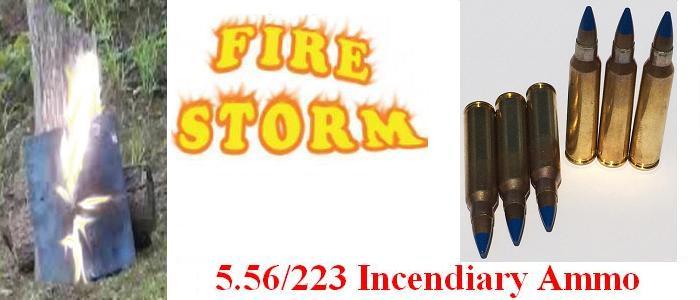 5.56/.223 Incendiary Ammo - 10rds