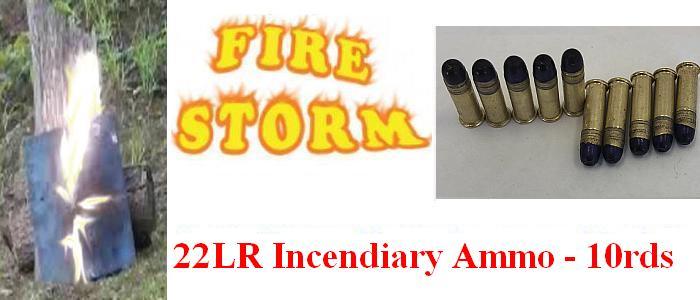 .22LR Incendiary Ammo - 10rds