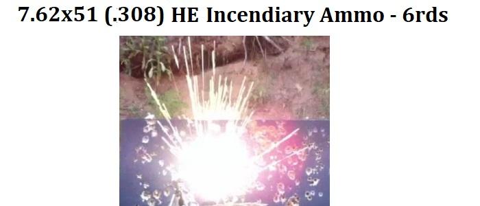 7.62x51/.308 HE Incendiary Ammo - 6rds